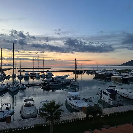 Dm Studio's * 오리쿰