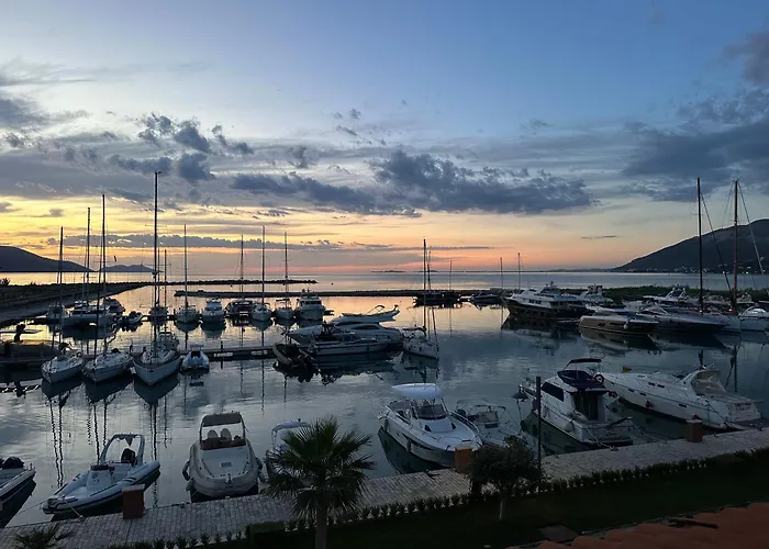 Dm Studio's * 오리쿰