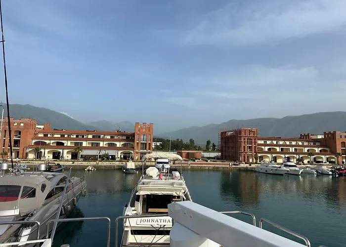 Dm Studio's * 오리쿰